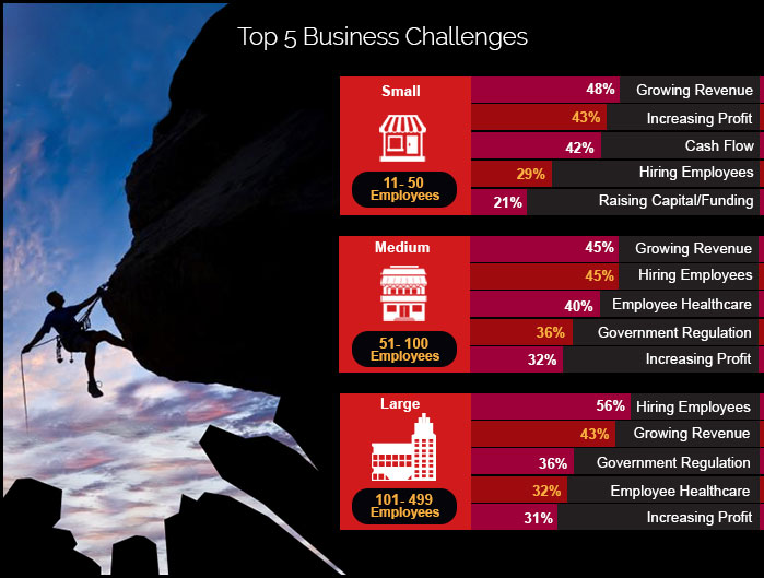 Top 5 Challenges Facing Small, Medium, and Large Businesses 2024