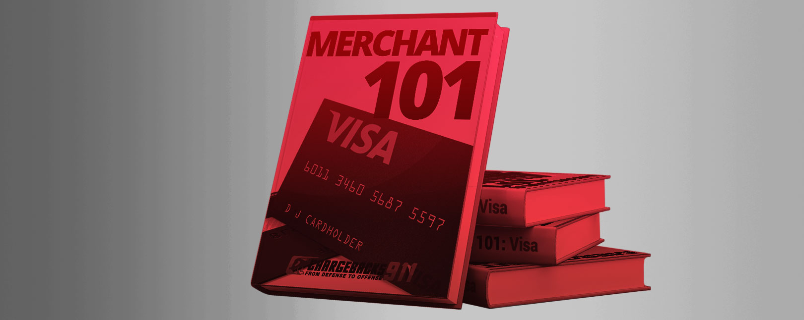 Merchant 101 Introduction to the Visa Network